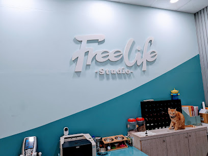 Free Life Studio 招牌與店貓